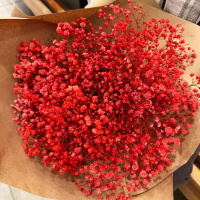 Букет_Красное облако