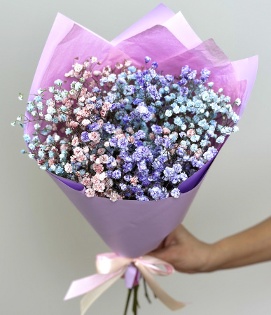 Гипсофила цветная