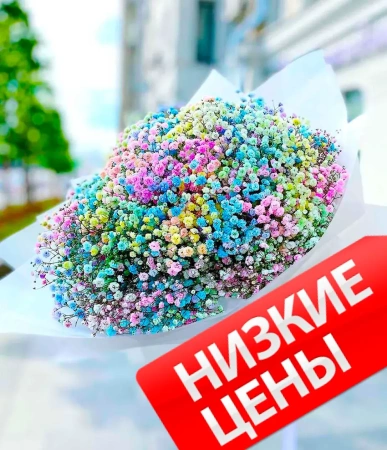 9 гипсофил