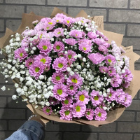 Сантини с белой гвоздикой