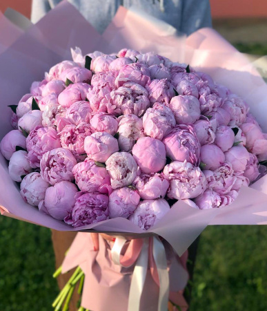 Букет из 101 розовых пионов