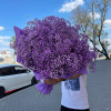 Букет_15 фиолетовых гипсофил