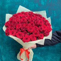 Букет_51 красных роз (60см)