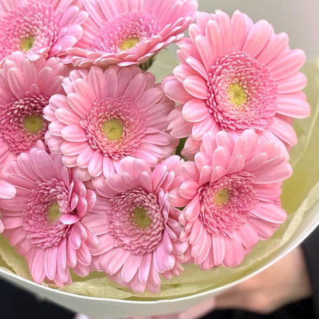 Букет_Букет комплимент розовые герберы