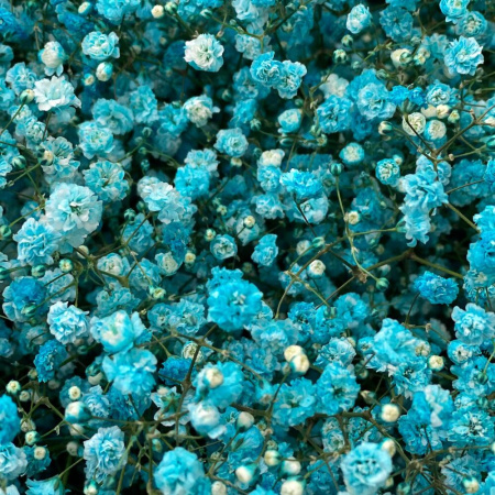 Букет_Голубое небо